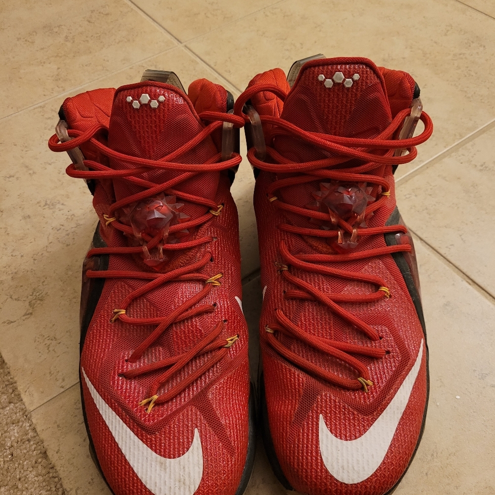 LeBron 12s